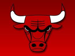 bulls2